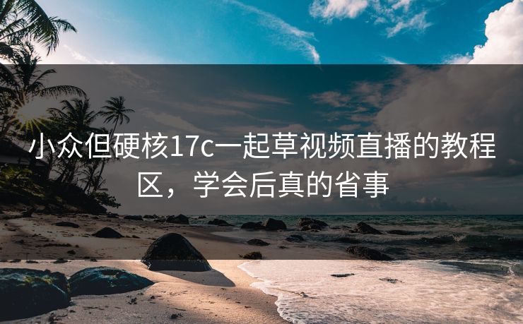 小众但硬核17c一起草视频直播的教程区，学会后真的省事